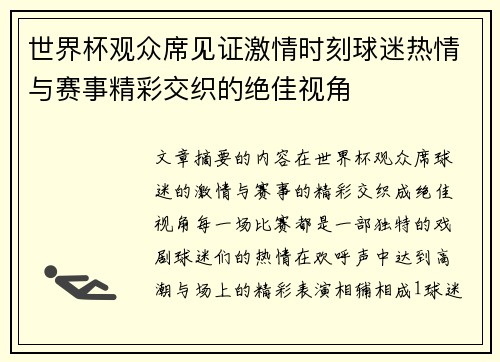 世界杯观众席见证激情时刻球迷热情与赛事精彩交织的绝佳视角